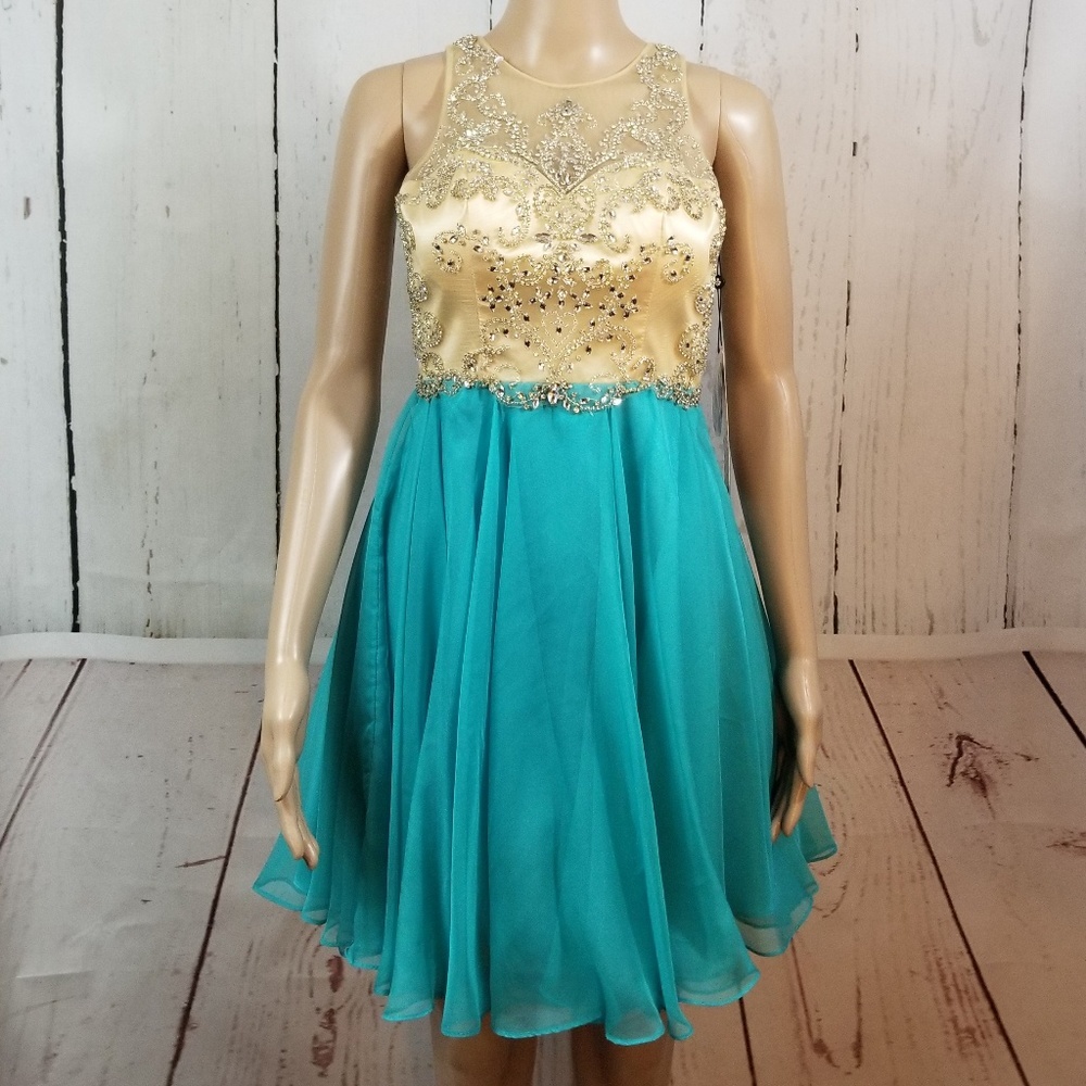ALYCE PARIS Short Silky Chiffon Skater Dress - Picture 1 of 8